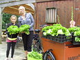 Dock geeft workshop gezonde leefstijl op de educatieve tuin